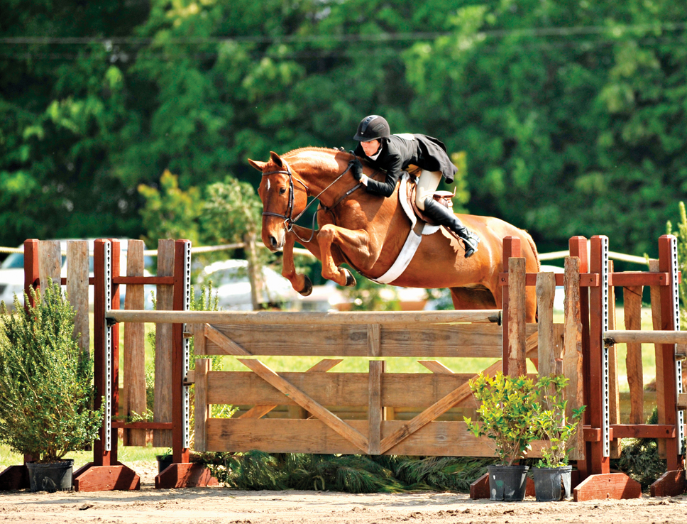 Brunello Brings Home Blue In Aiken Spring Classic Masters The