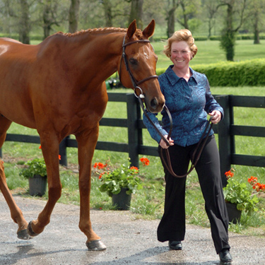 Colleen Rutledge Is Recovering At Home - The Chronicle of the Horse