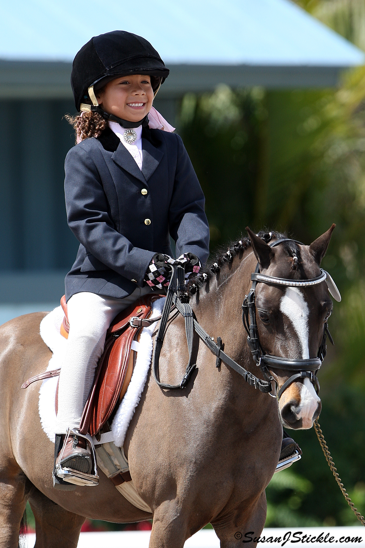Top Dressage Riders To Compete At Palm Beach Dressage Derby The Chronicle of the Horse