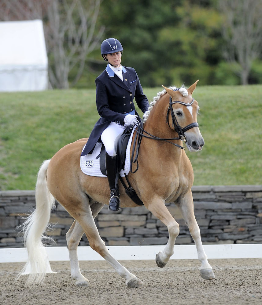 Winner Of The Week Lutz Bests The Big Horses At GAIG/USDF Region 8