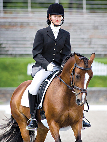 Van equitation store