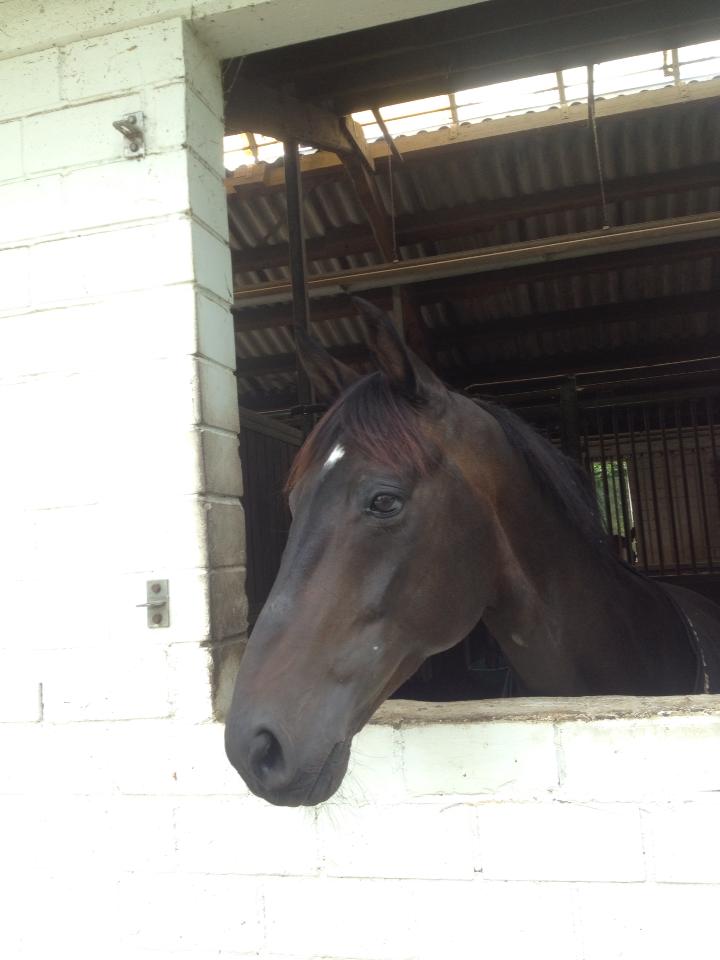 Destiny Hanging Out