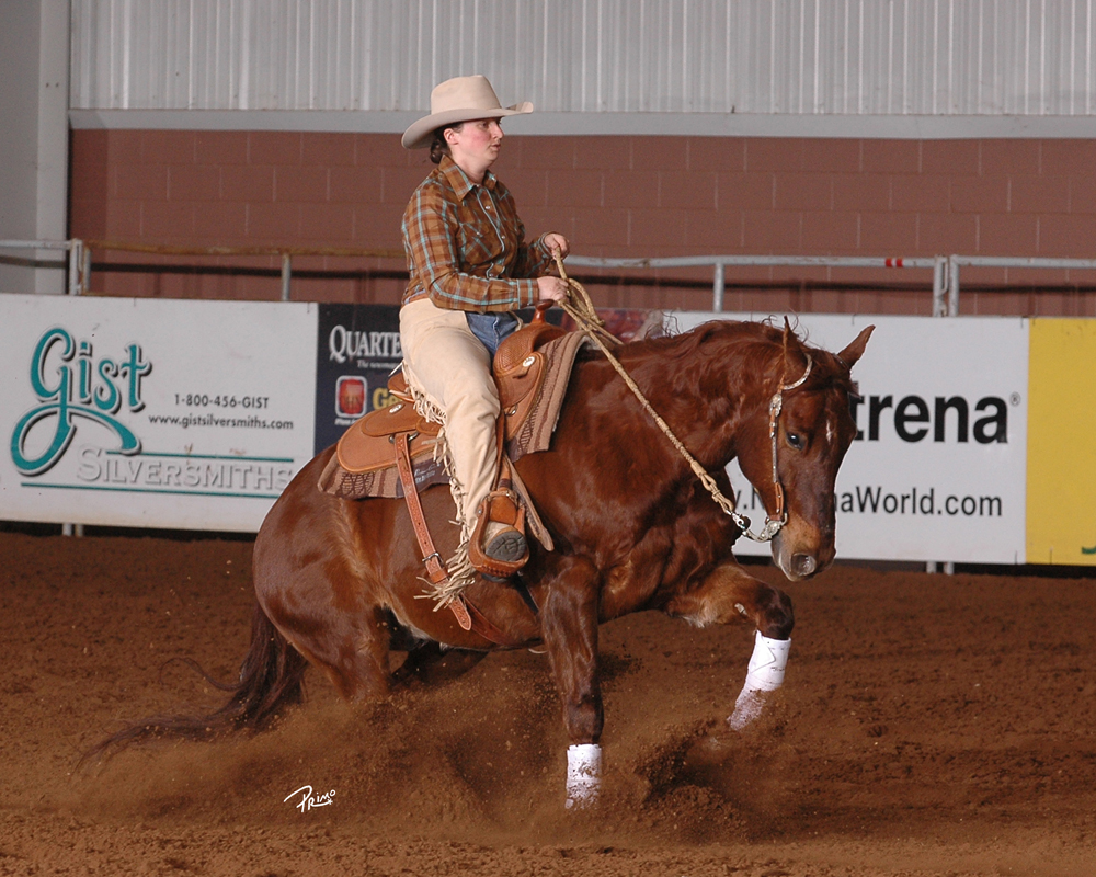 reining dressage horse