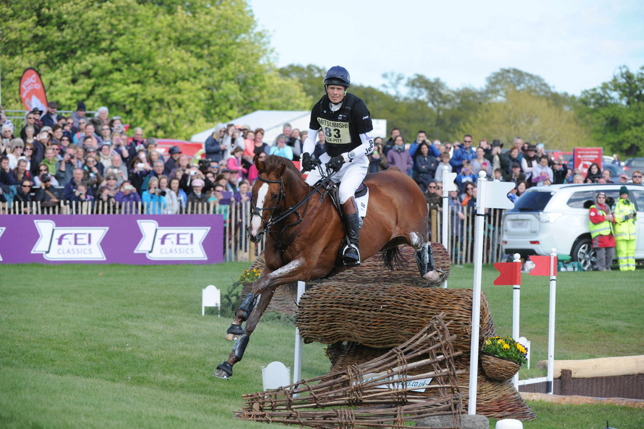 William Fox Pitt