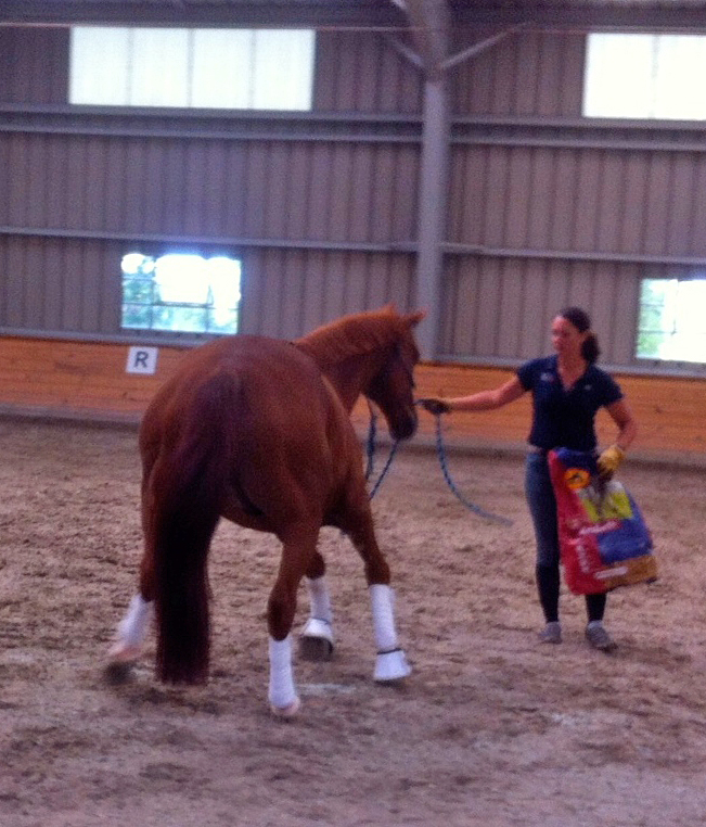 Roundpen Work
