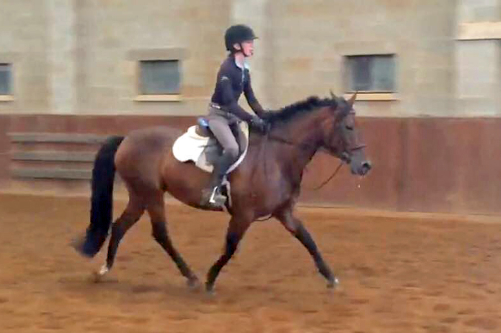 Panchas pony 2025