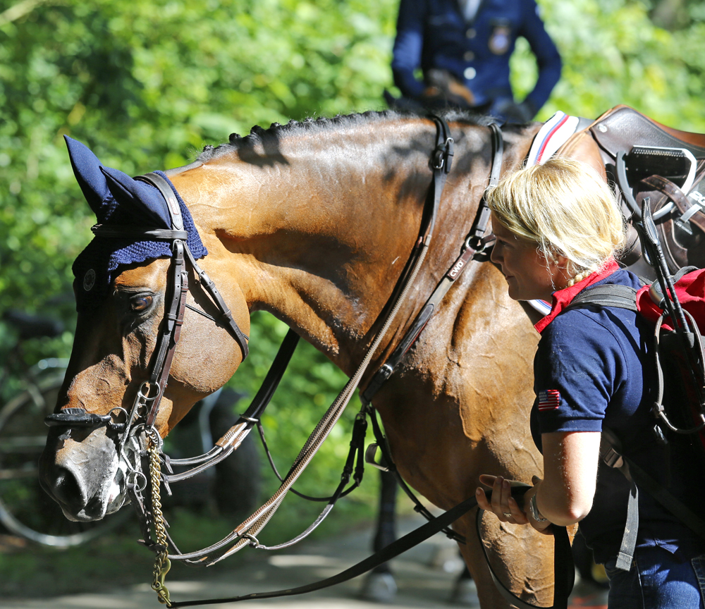 The Chronicle of the Horse