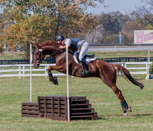 Tik and Remarkable XC