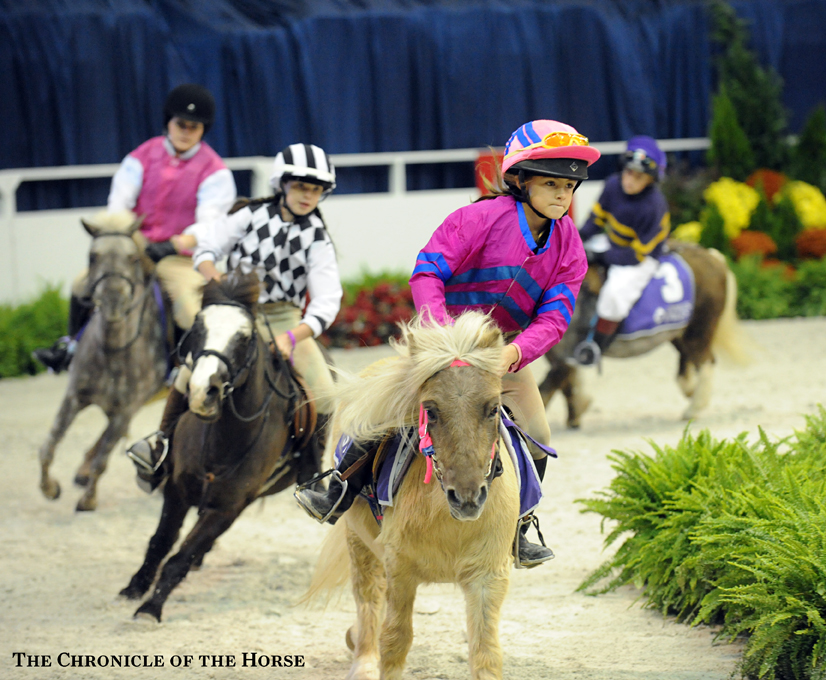 Pony races