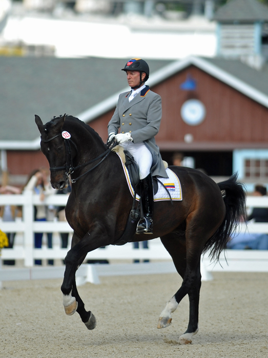 Grey dressage coat sale