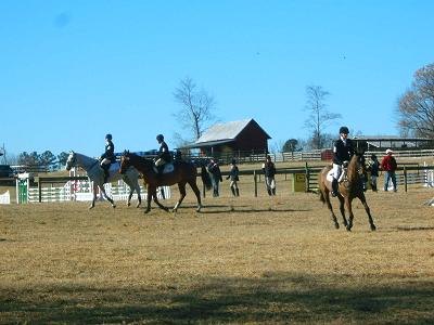 PineTopFarmFeb2011.JPG