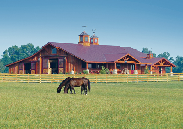 Farm Design Part One: Designing Your Own Farm Can Be A Daunting Task - The  Chronicle of the Horse