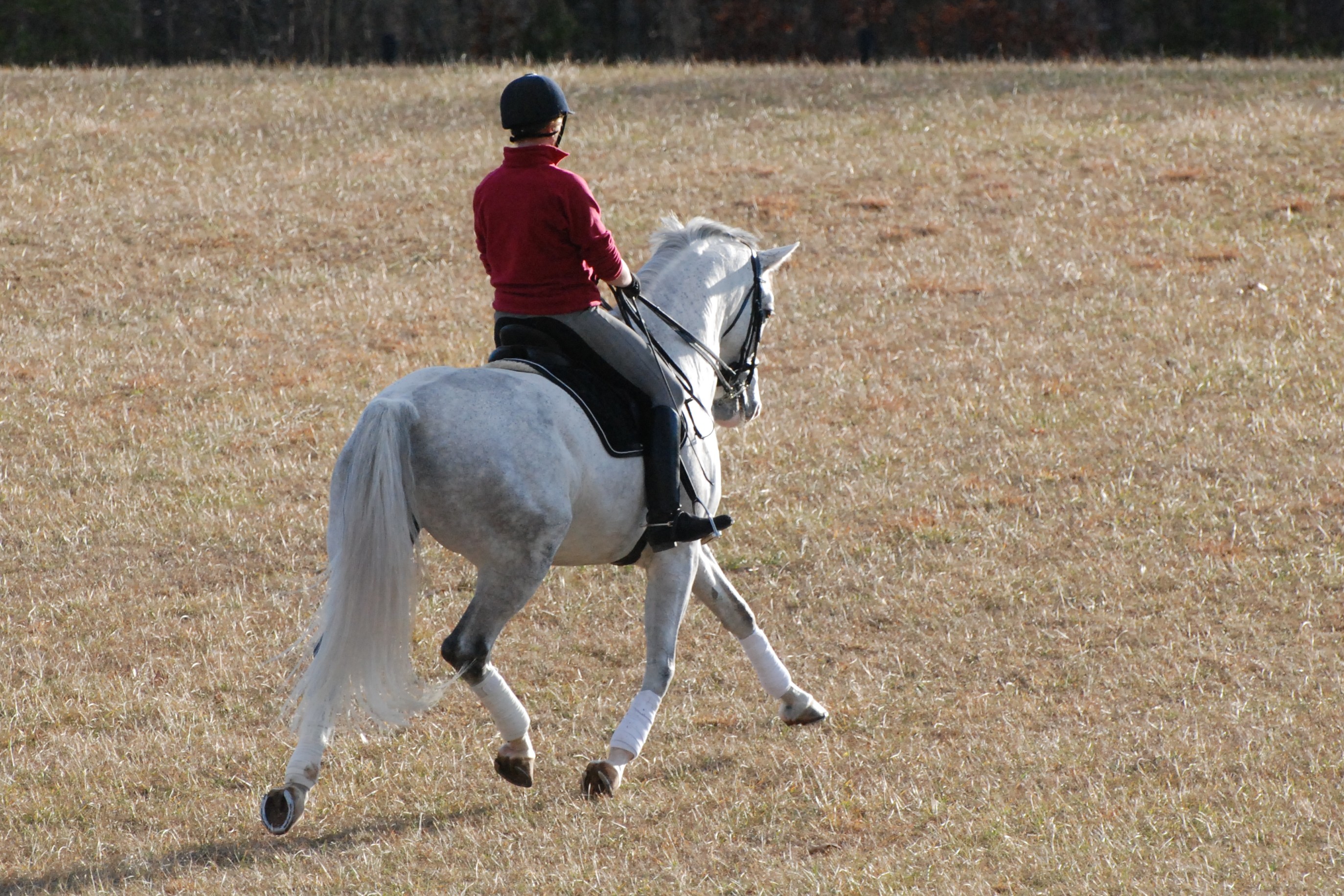 hilltrot.JPG