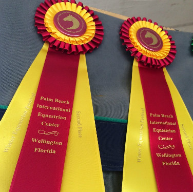 ribbons2.JPG