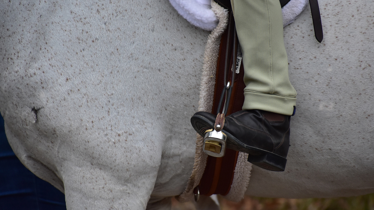 A horse rider on a white horse has her boot in the stirrups