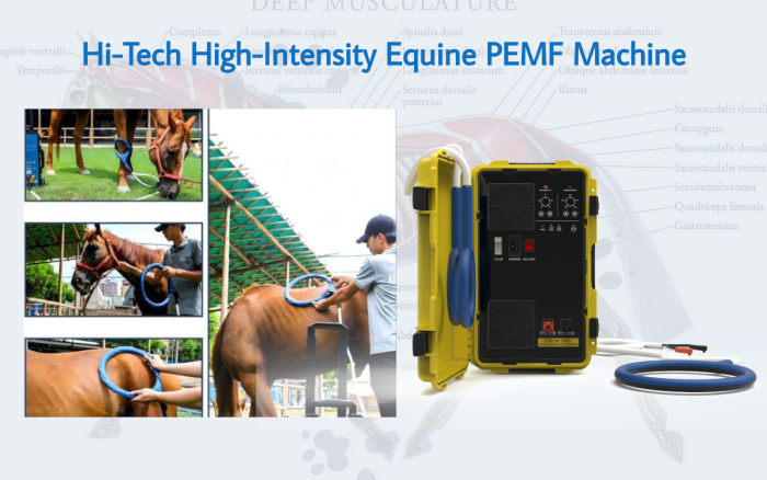 hi-tech-equine-pemf-machine-united-states-canada-UK-texas-florida-uk-new-york-los-angeles-idaho-ohio